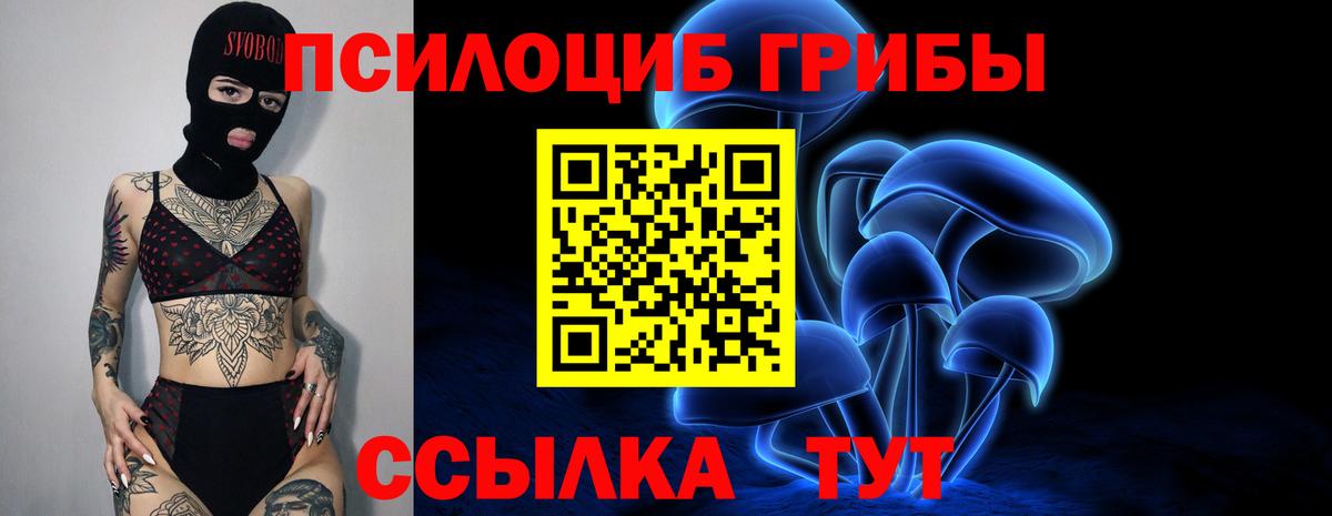 Десногорск  Галлюциногенные грибы Psilocybe  Вход с VPN  Галлюциногенные грибы Cubensis 